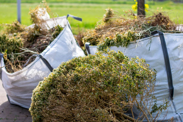 Best Yard Waste Removal  in Floresville, TX